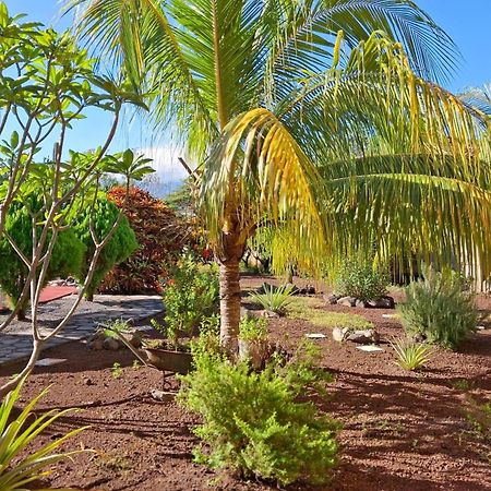 Hotel Jardin Garden De Granada Nicaragua Екстериор снимка