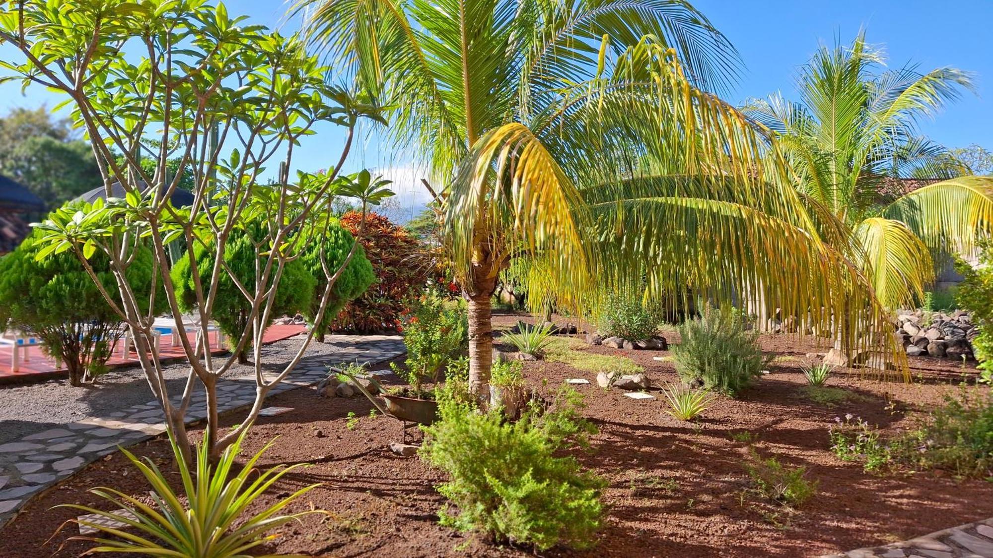 Hotel Jardin Garden De Granada Nicaragua Екстериор снимка